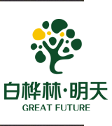 白桦林明天